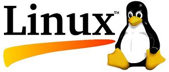 نظام التشغيل لينكس Linux Operating Systems