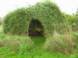 Living Willow dome under