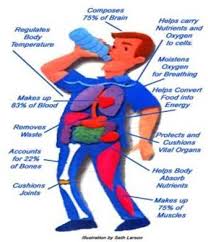 Weight Loss Tips