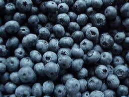 The ninth annual Blueberry