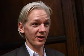 of the WikiLeaks website,
