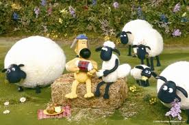 shaun image 0