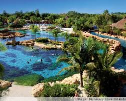 Discovery Cove