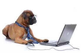 free online education courses