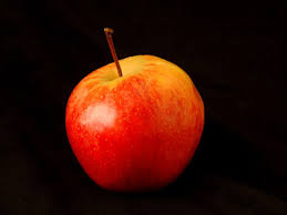 Photography Beginners Guide Photography Beginners Guide