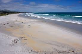 picture of Brighton Beach