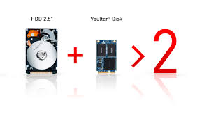 Vaulter� Disk Plus HDD