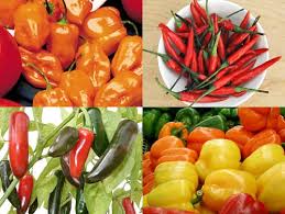 GENESIS TROPICAL MART(LIBERIAN OWNED AND OPERATED STORE) Chili_pepper