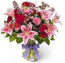 نقره لعرض الصورة في صفحة مستقلة