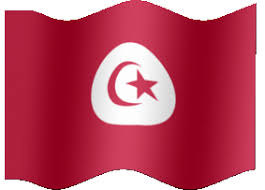 معنى علم روسيا Tunisia%20flag-XL-anim