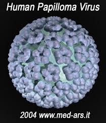 papilloma