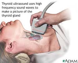 of the thyroid gland taken