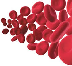 EPO: Erythropoietin for Anemia
