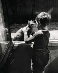 L'OEIL DE WILLY RONIS Pics.imagup