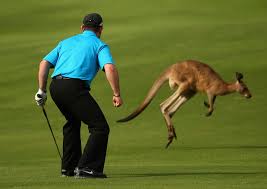 Rory Sabbatini scares off a