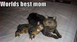 funny mothers day poems