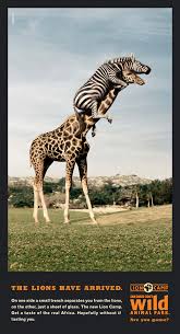 Bike to the San Diego Zoo to