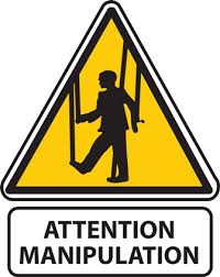 Afficher l'image en taille réelle