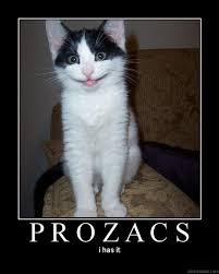 Iz Mah Prozac - Meme Cats