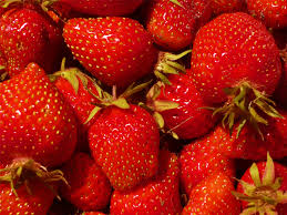 http://t3.gstatic.com/images?q=tbn:zy57bO5LJPp_8M:http://bear-to-bear.net/wp-content/uploads/fraises-gourmandes.jpg