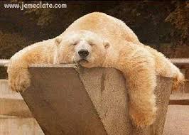 LE SOMMEIL, C’EST VITAL !