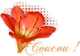 Afficher l'image en taille relle