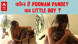 Supreme court grants interim protection actress poonam pandey porn racket case jpg x Poonam pandey