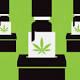 An unprecedented number of states will vote on marijuana this fall 