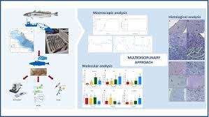 siberian mouses blowjob|Transcriptome analyses of nine endocrine tissues identifies organism-wide  transcript distribution and structure in the Siberian hamster | Scientific  Reports