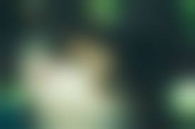 dead rape women porn|Rape Zombie: Lust of the Dead (2012) - User reviews - IMDb