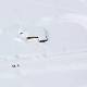 Afghanistan Avalanches Kill Nearly 200 - Wall Street Journal