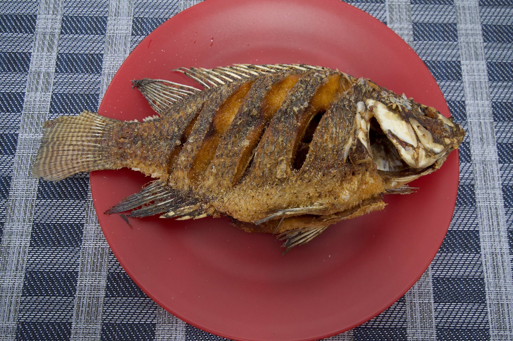 Pescaderia Ensenada by null