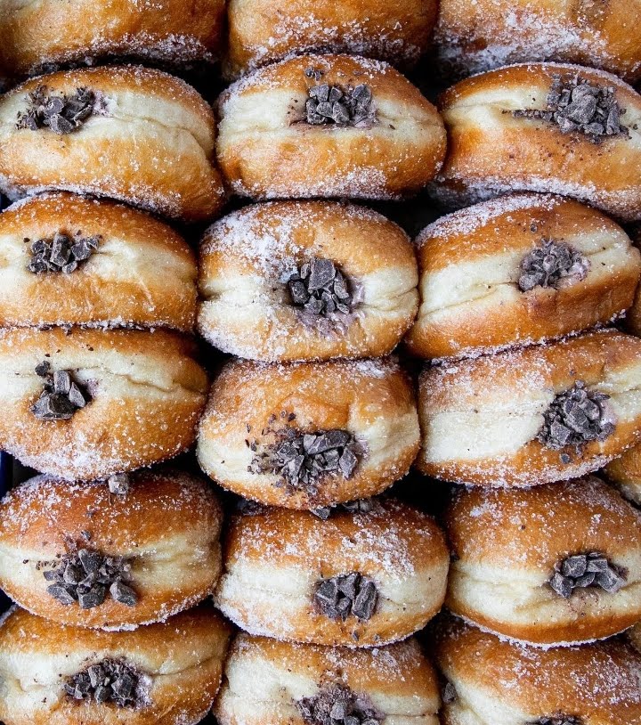 General Porpoise by null