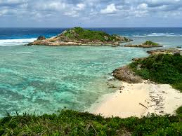 japan nudist|レディース) Nudist // 長袖 ストライプ柄 シアー ロールアップ ロング シャツ・ワンピース (白×黒) サイズ F (M位) item  details | Yahoo! JAPAN Auction | One Map by FROM JAPAN