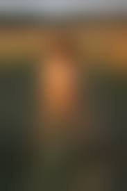  skinny small tits alla|Anfisa images