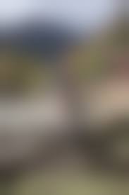 russian young nudistteen dreesed nude|Slim Young Russian Brunette Posing Nude Stock Photo 129511613 | Shutterstock