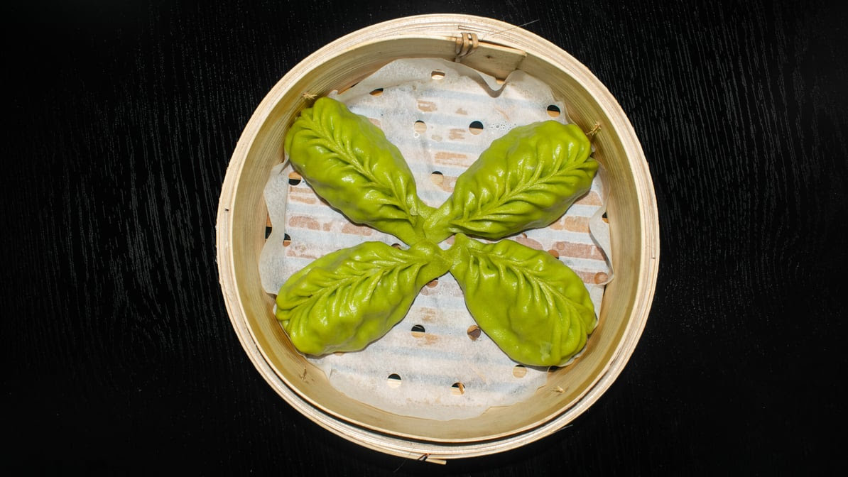 Dumpling Zone by null