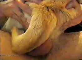 Guy fuck dog pussy gaybeast com siterip jpg x Guy fucks dog pussy