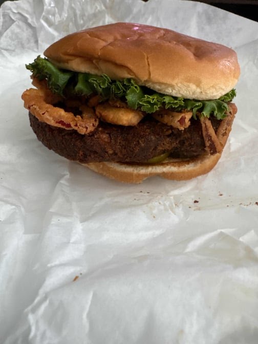 Earth Burger by null