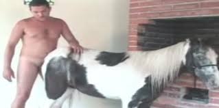 Gaybeast rip fucking a white mare gay zoo porn petlust men fuck animals jpg x Mare fucking