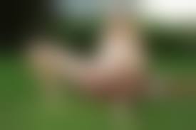 young nude teen girls|