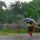 Phases of Moon affect rainfall on Earth: study 