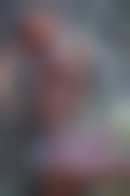 Ebony art nude|Ebony Exquisite , Nude Art Photography Curated by Photographer Sydeline -  Mark