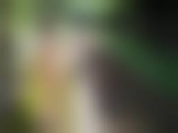 ゆりかご　プリちゃん　野外露出|野外露出画像】これぞ露出キチガイ…常軌を逸した野外露出プレイに嵌まる変態娘のエロ画像