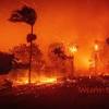News source: The Sydney Morning Herald