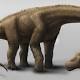 'Dreadnought' dinosaur yields big bone haul