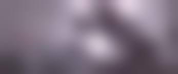 animalsex src|When Your Job Is Researching (Animal) Sex on the Beach | WIRED