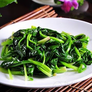 Northern Taste by null