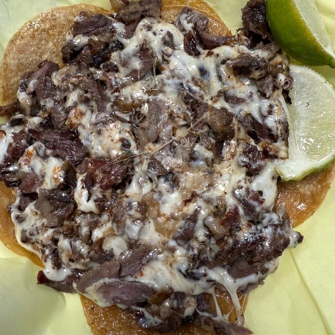 El Pastor Es Mi Señor by null