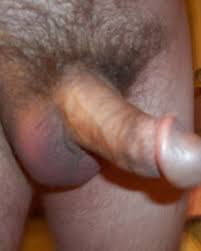 Hairy anal creampie jpg x Hairy anal creampie